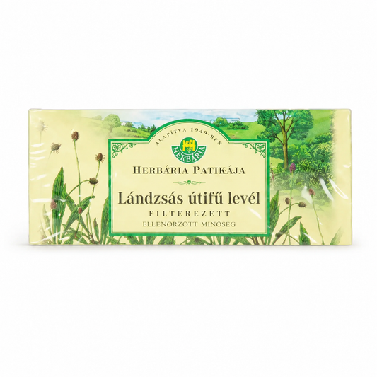 Herbária Patikája Lándzsás Útifű Levél Tea 25 filter – filterezett gyógynövény tea, 25 g